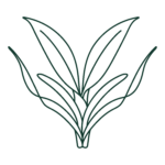 Verdalba panorámica